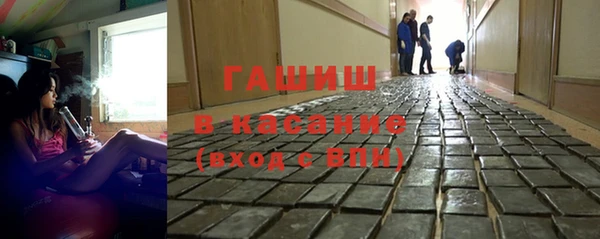мдпв Краснослободск