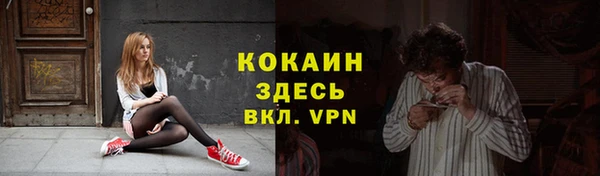 дживик Кукмор