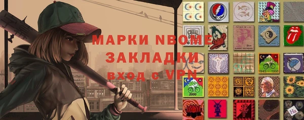 мдпв Краснослободск