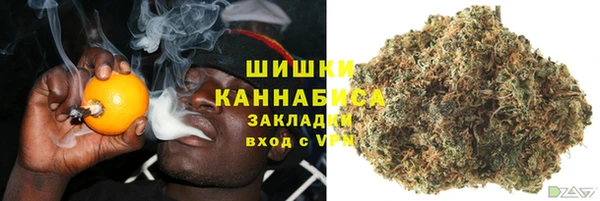 мдпв Краснослободск