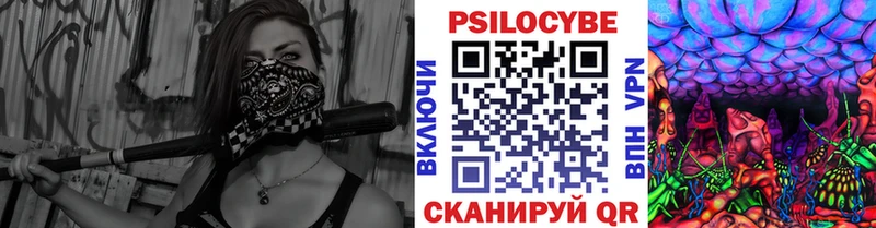 наркотики  shop как зайти  Псилоцибиновые грибы MAGIC MUSHROOMS  Лермонтов 